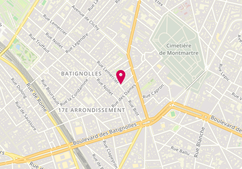 Plan de Cynoscan, 8 Rue Lemercier, 75017 Paris