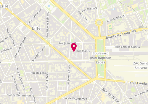 Plan de Logissain Services LILLE, 6 Rue Malus, 59000 Lille