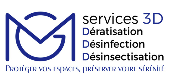 MG Services 3D