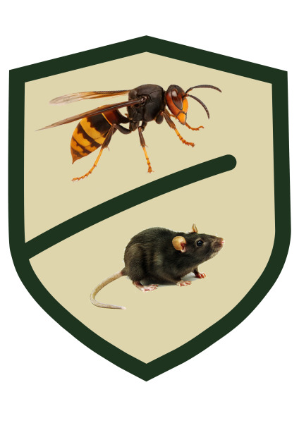 Anti-Nuisible du Sarladais - 24220 Saint-Vincent-de-Cosse