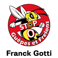 Stop 0 Guêpes et Frelons